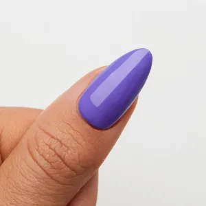 Purple Reign