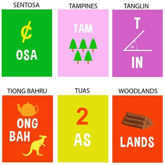 Singapore Fun Pun T-shirt