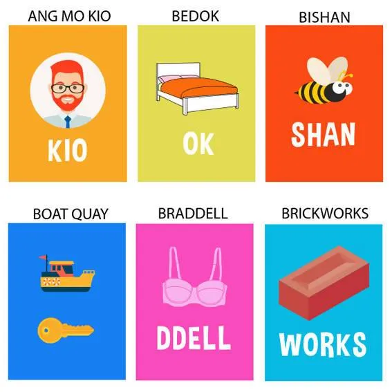 Singapore Fun Pun T-shirt