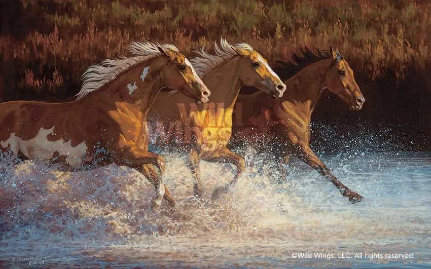 Thundering Water—Horses - Limited Edition Paper
